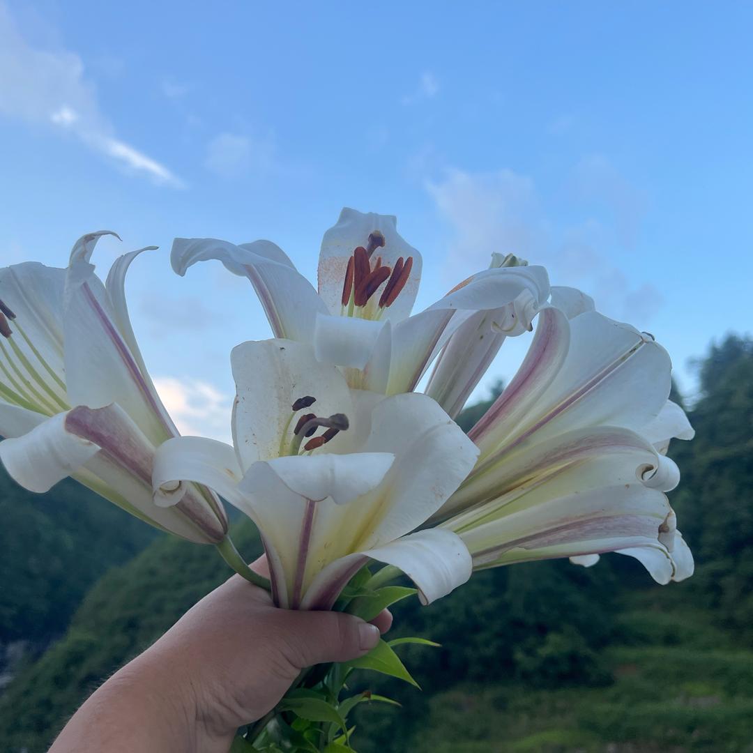 糖有点小困
