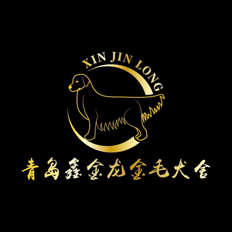 鑫金龙金毛犬舍