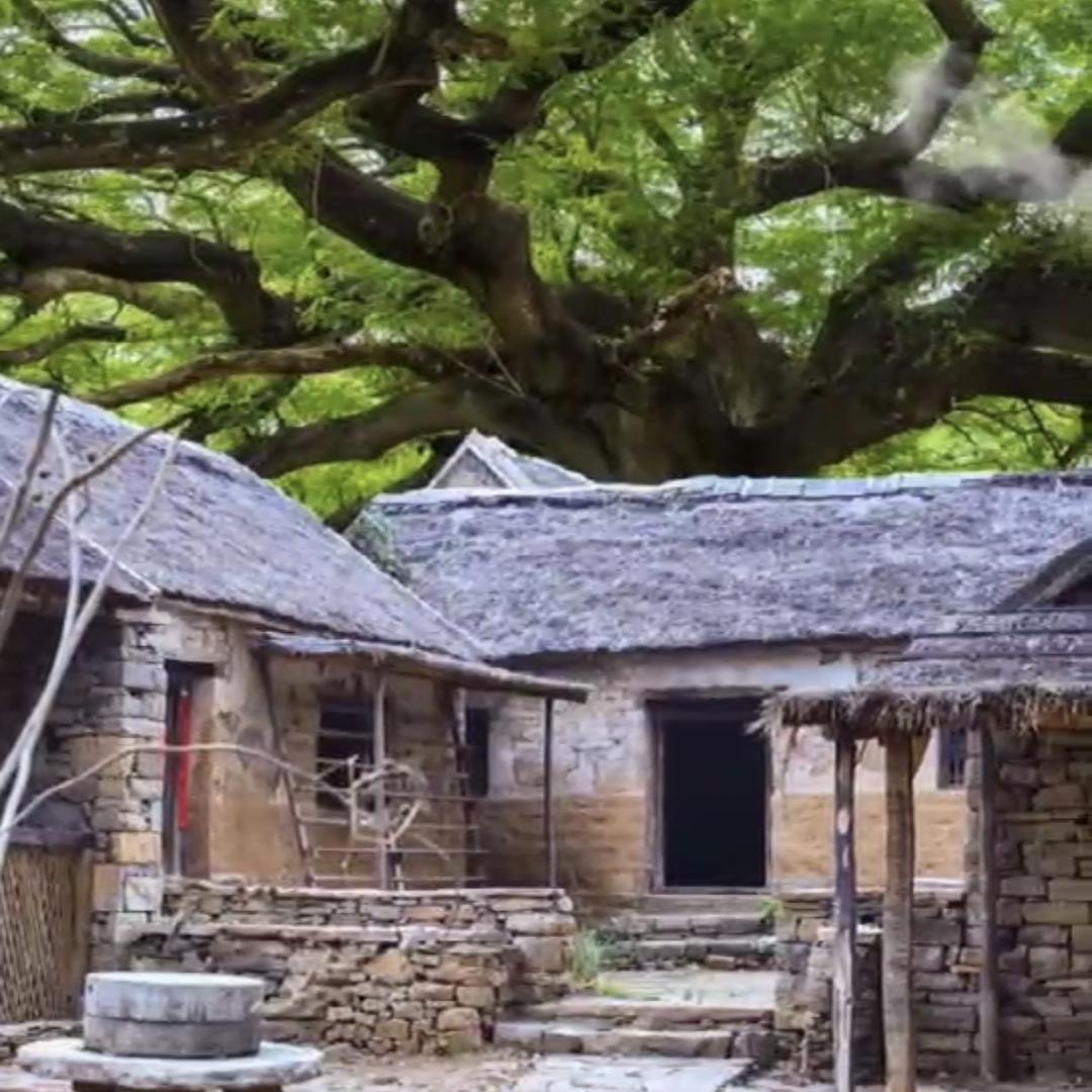 勇盛《盛稷沃侬坊》