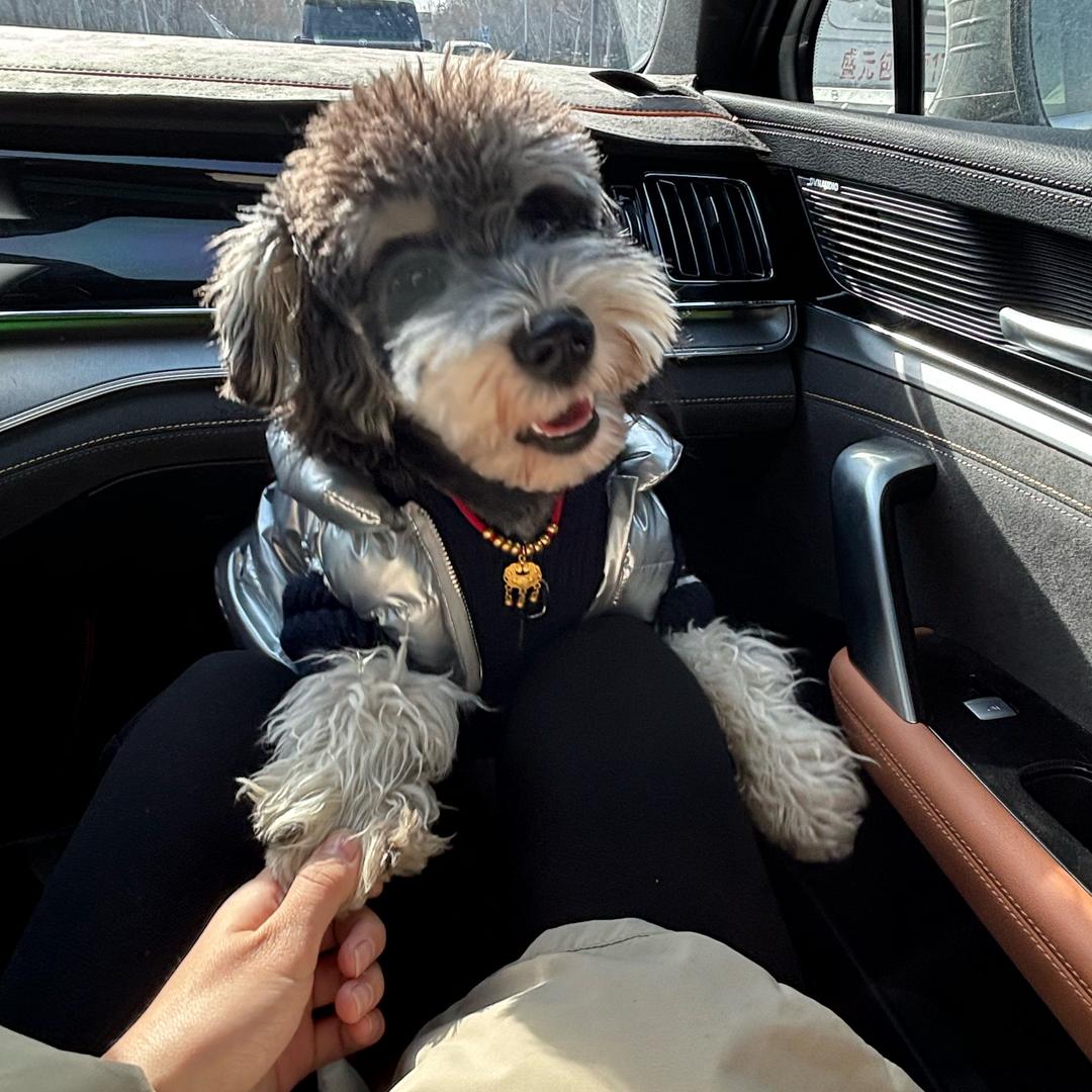 ππ的小狗日记📔