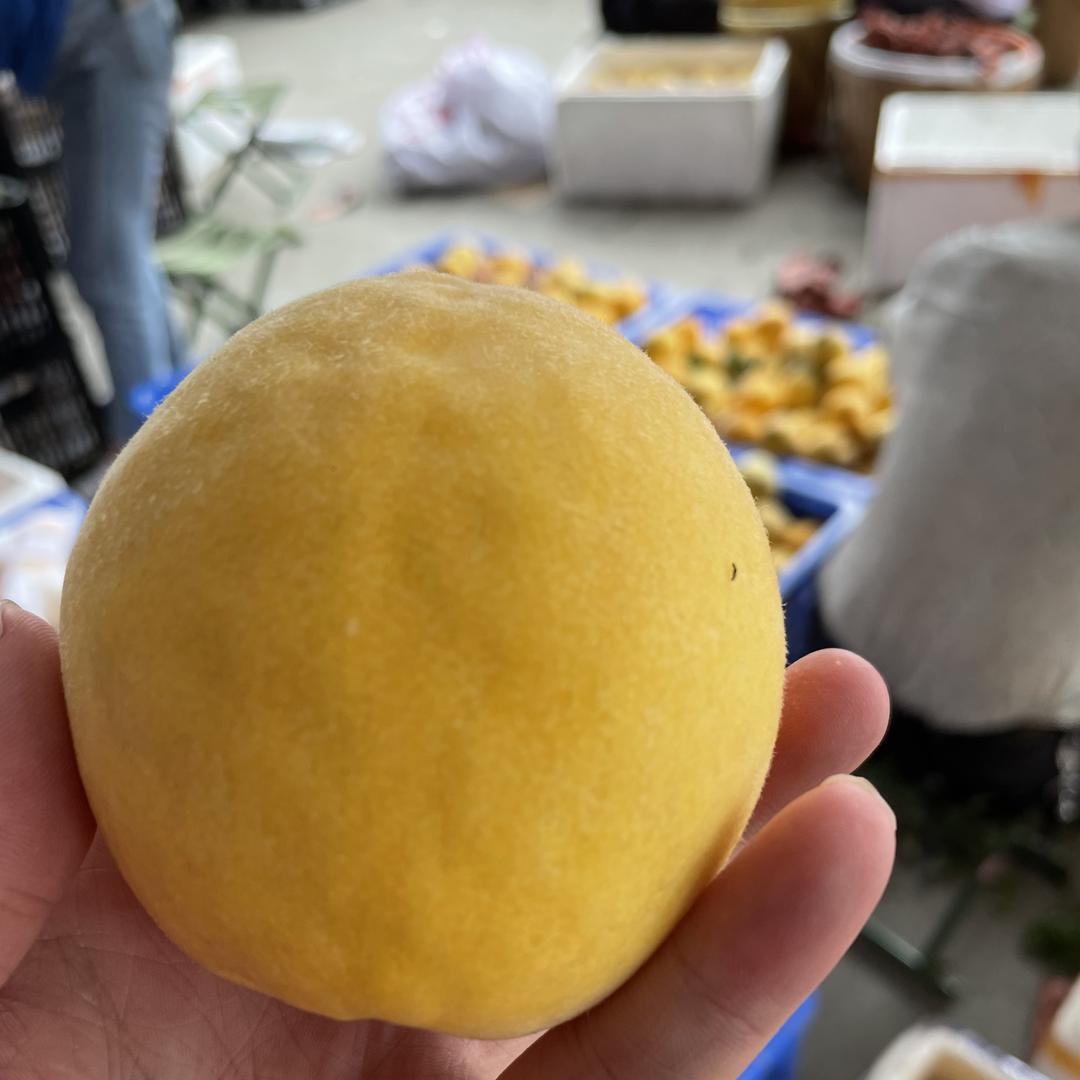 果味鲜生精选店