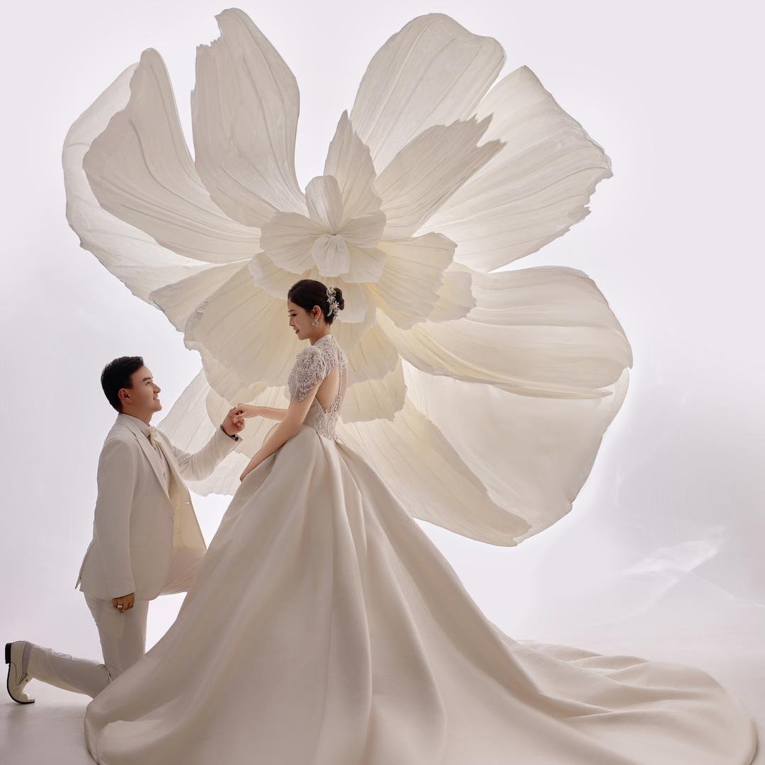 朝着阳光走☀️