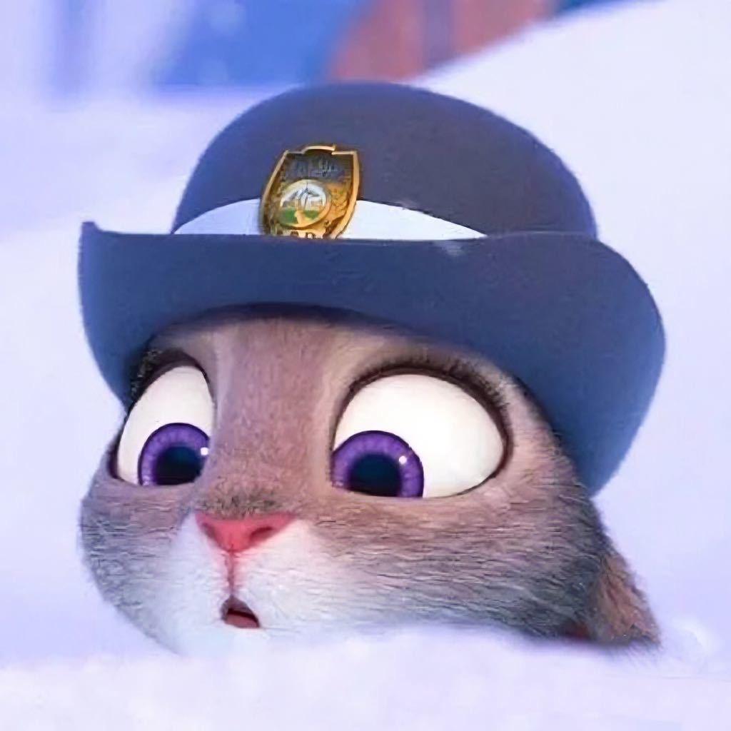 呼呼大睡soso💤