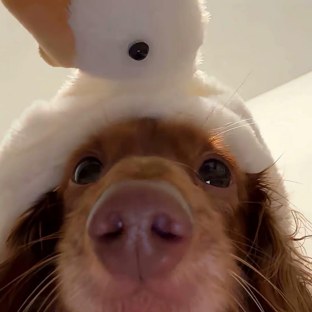 M🧚‍♀️
