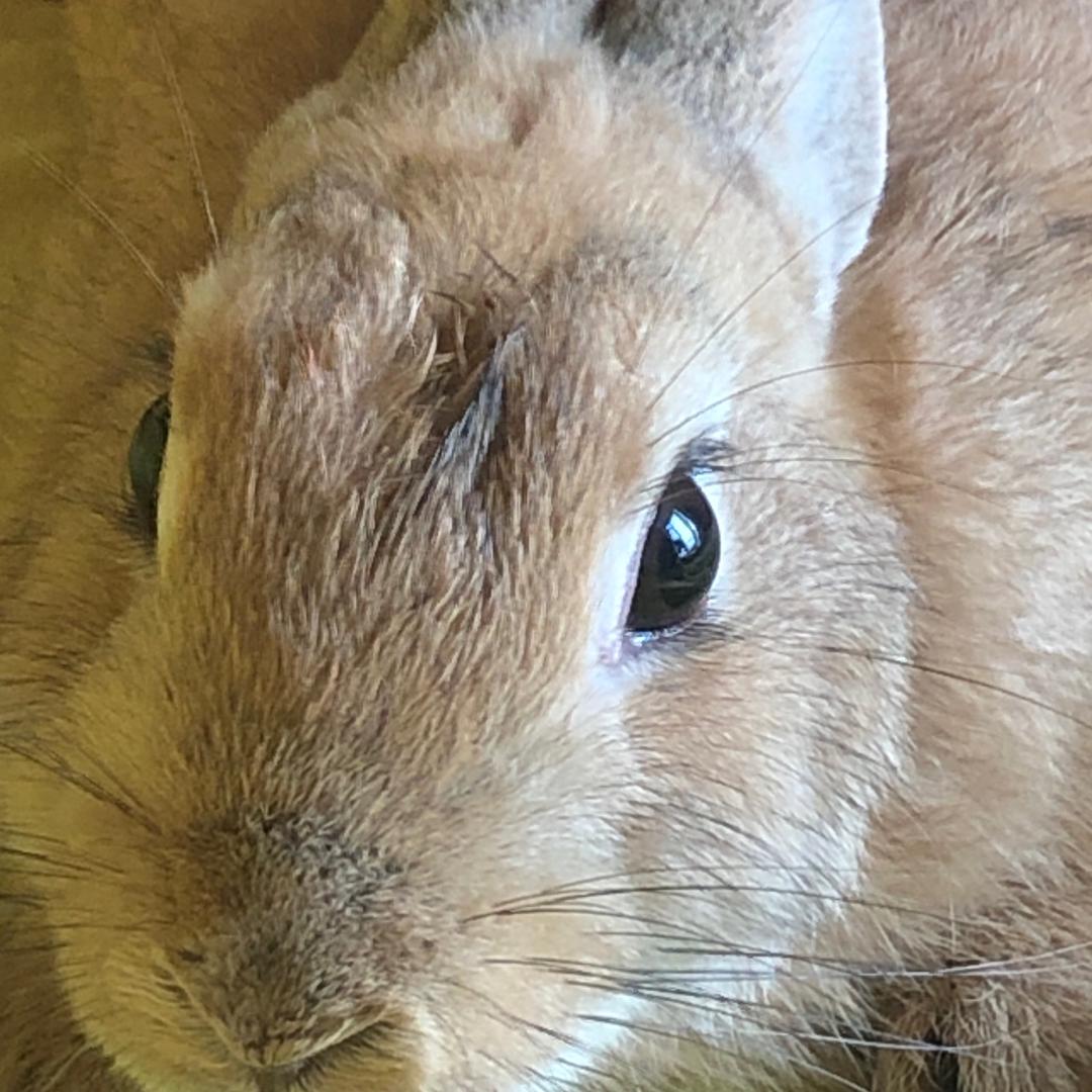 “窝似彤彤鸭”😉😊