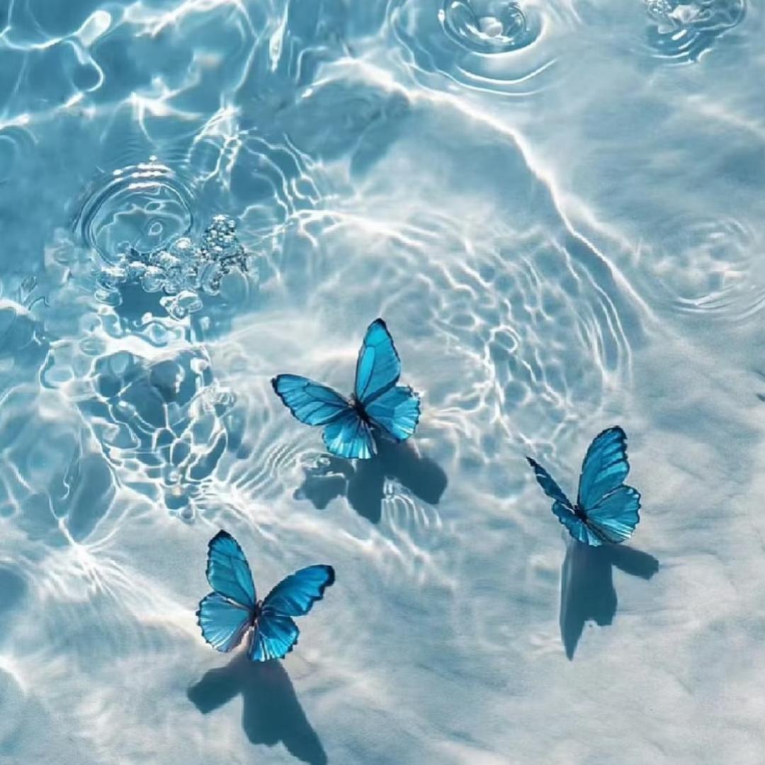 🦋🦋