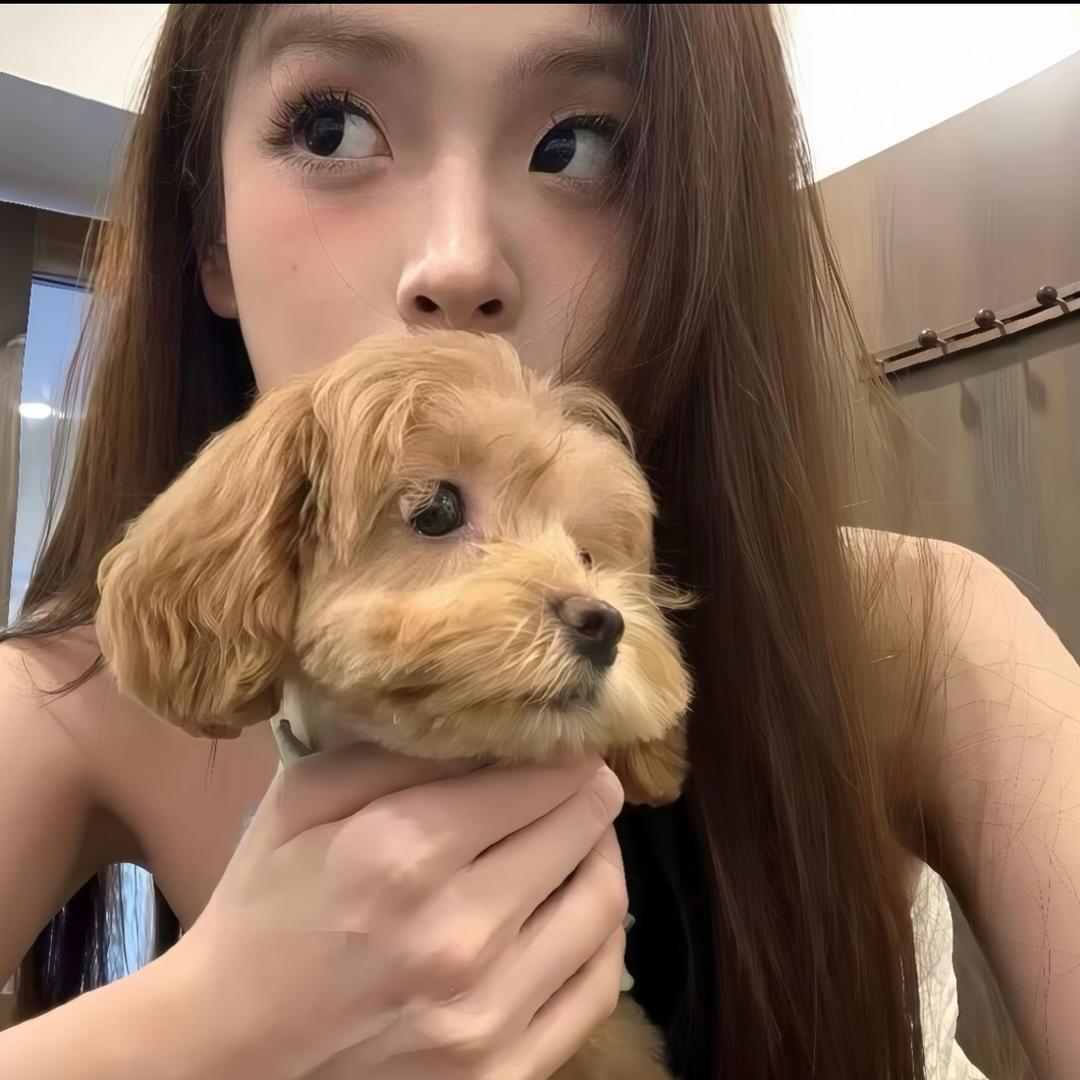 是你的仁-