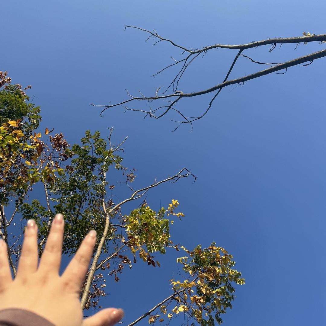 晨昏（努力拍照版）