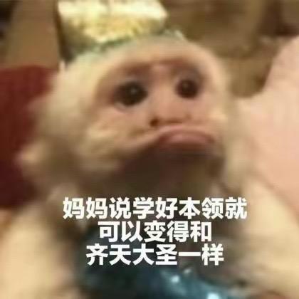 小田螺成长记