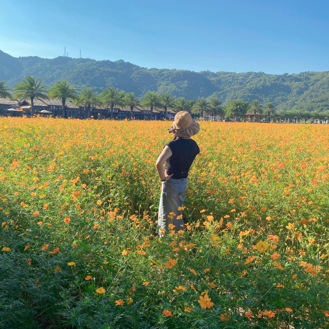 佳人🌹🌻🌺