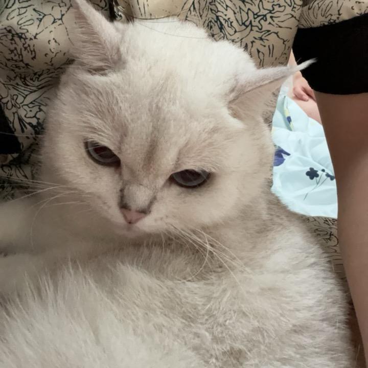风吹年年