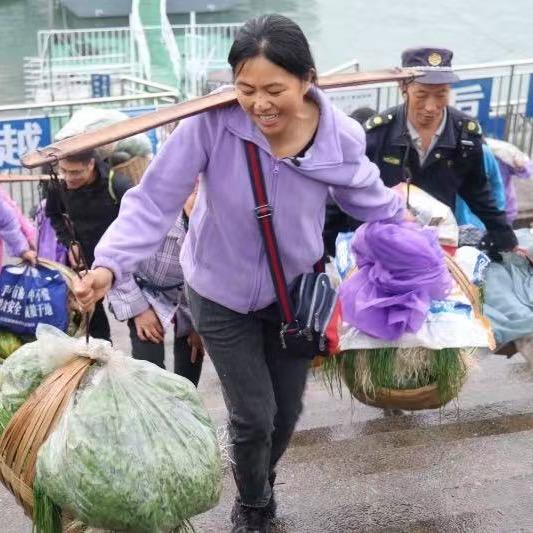 船娘芳姐