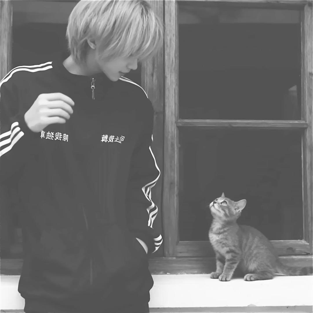 随ㅤㅤㅤㅤㅤㅤ