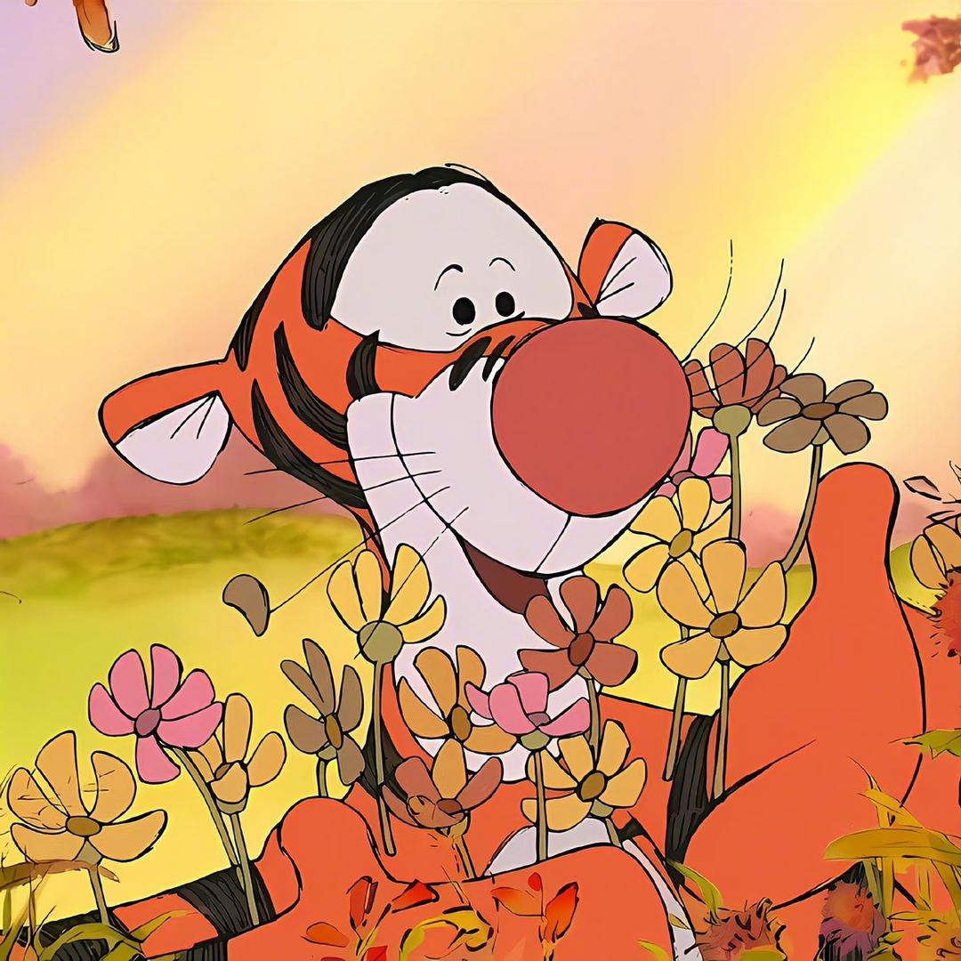 京墨纸品湿巾专营店甄选