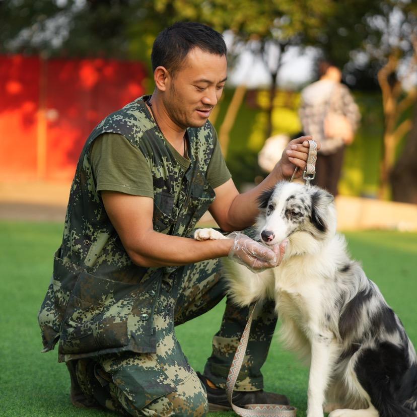 家宝训犬基地(长沙校区)专用号