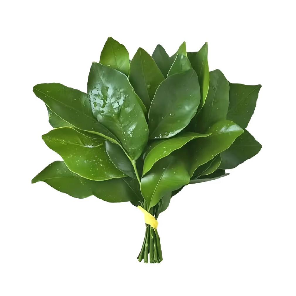 翻斗花园小美