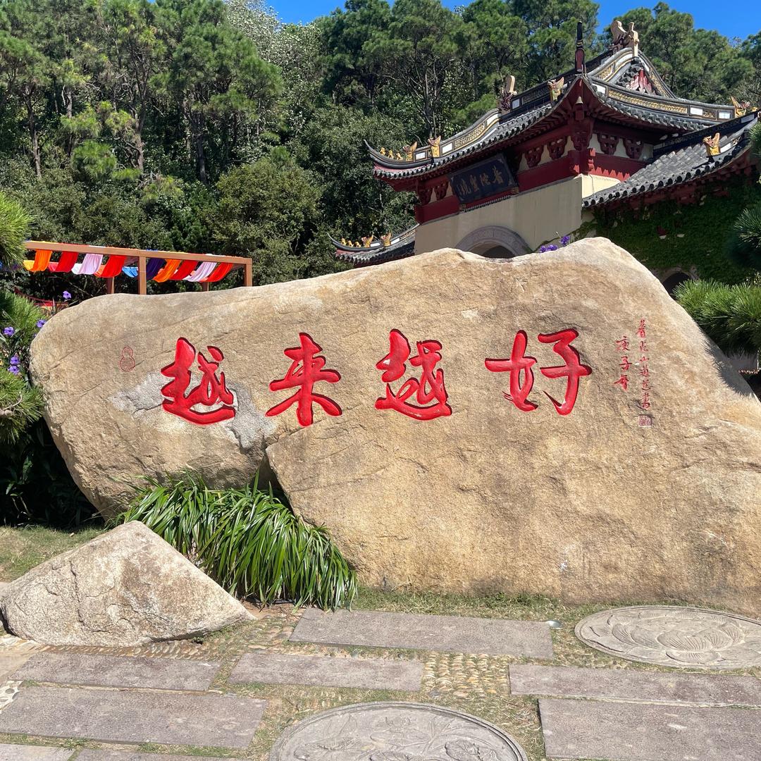 俺家猪会跳舞🕺