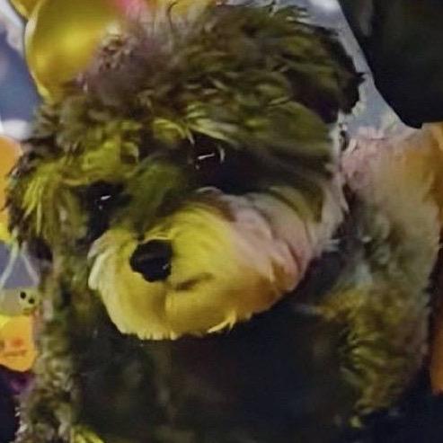 爱吃香菜的董小姐