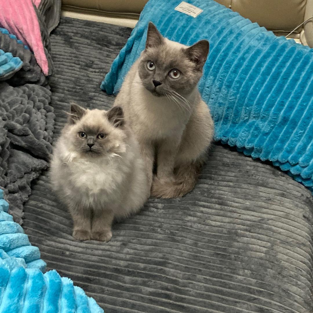 W美甲❄️（桐庐)提前约