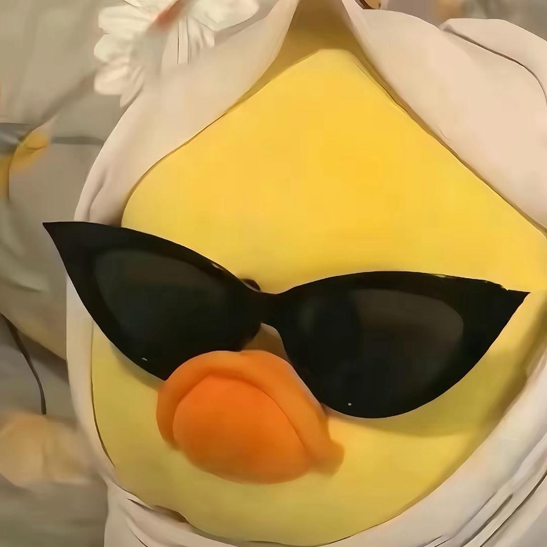 与月亮碰头