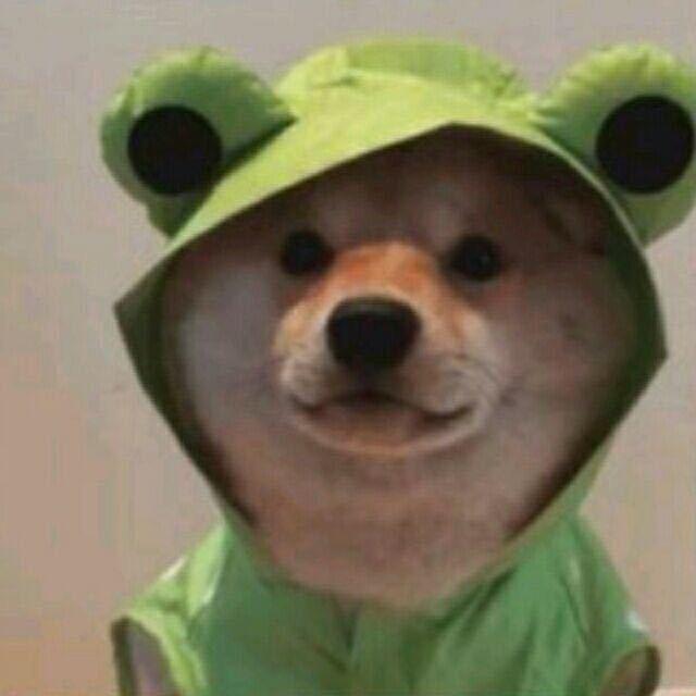 《鸿运果业》专业葡萄🍇