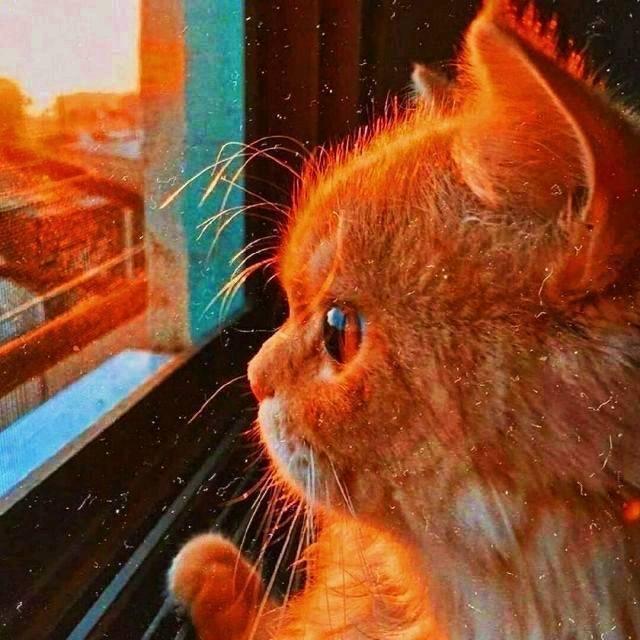 赐赐