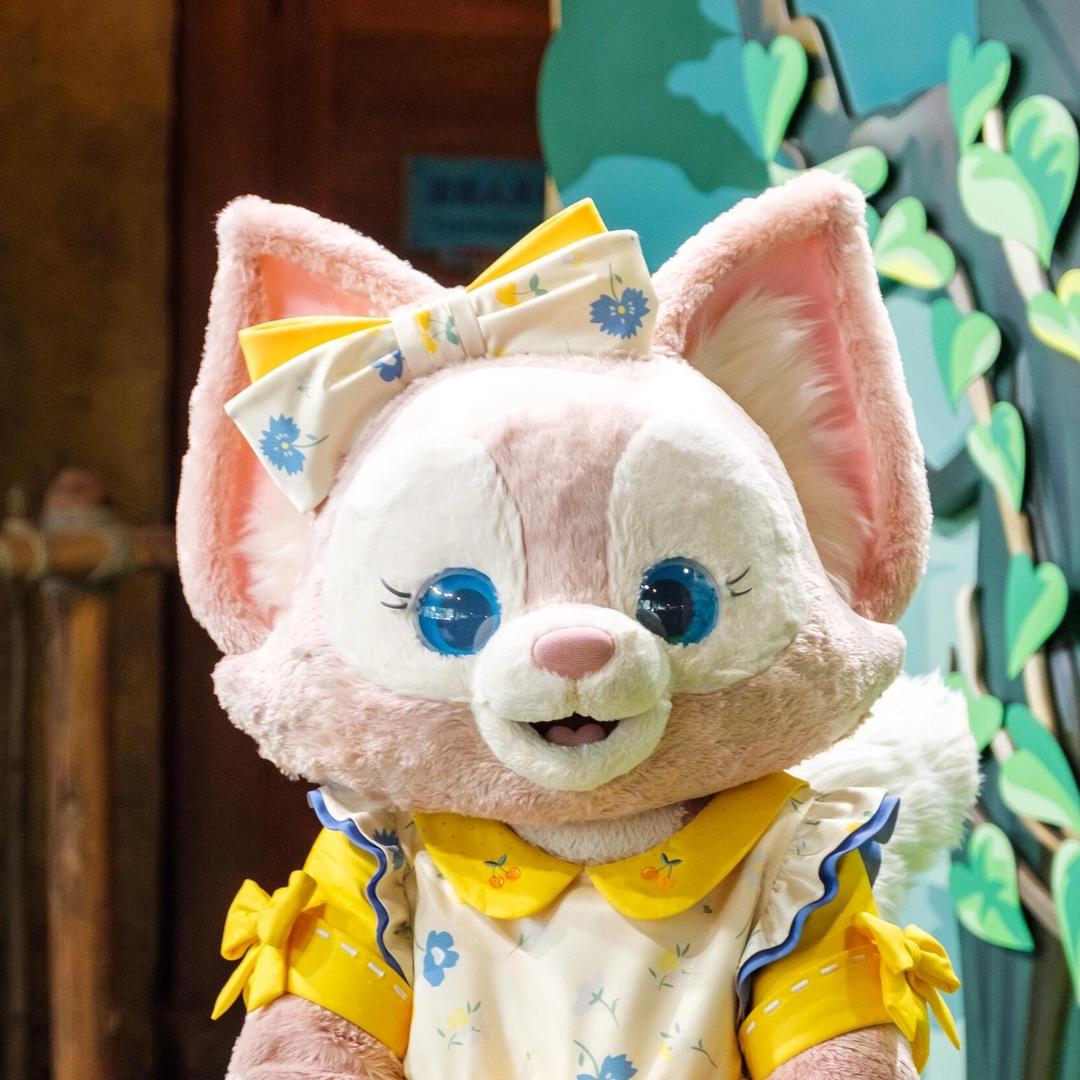 今天也是猪鼓励🌟