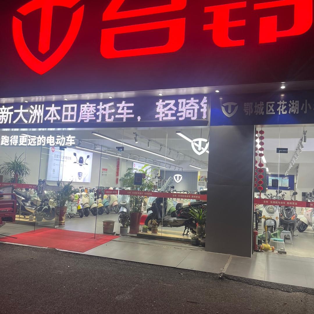 鄂州市花湖开发区台铃电动车(李金车行）