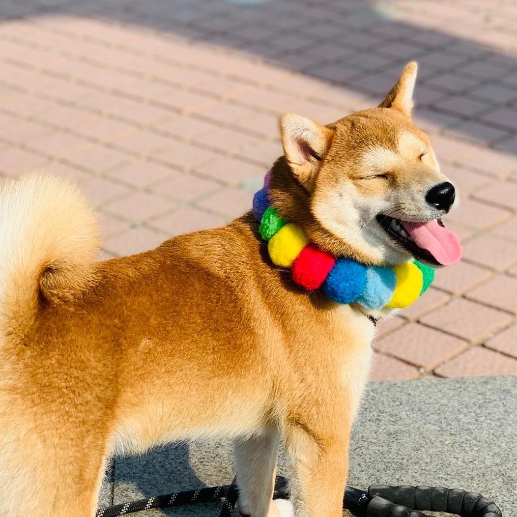 小火柴是大宝贝