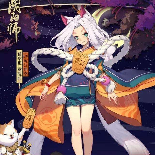 猫掌柜