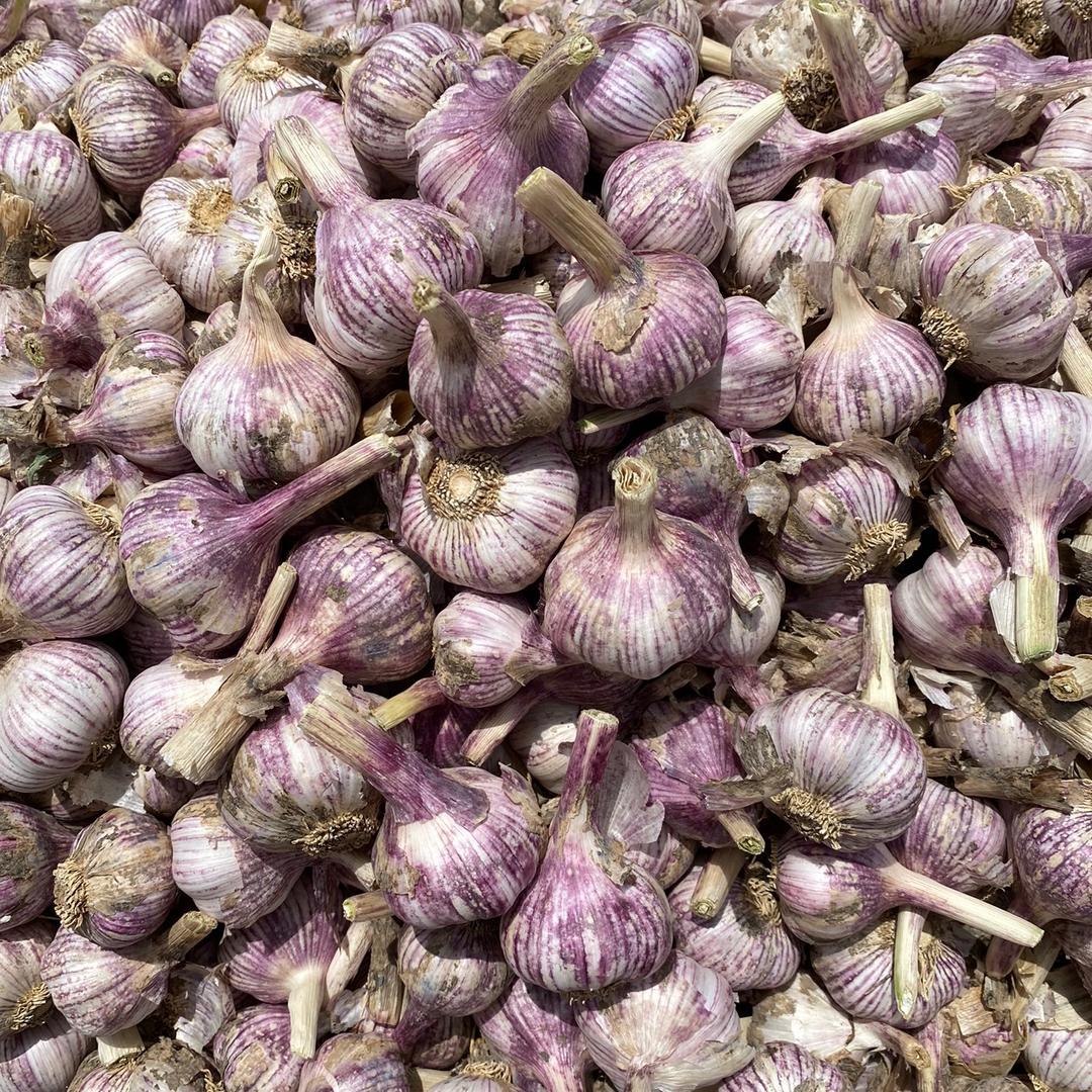 中牟卫振蒜业