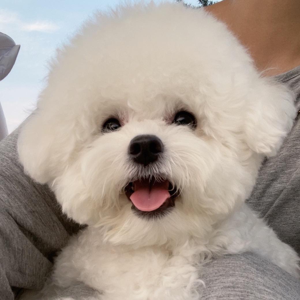 晓花花