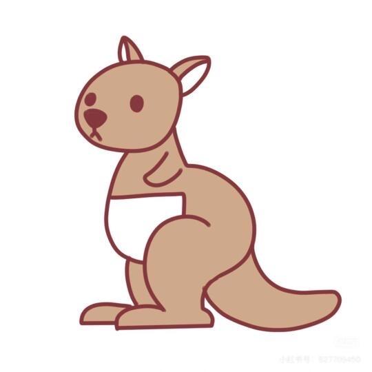 刺猬哥考研团队-袋鼠哥（择校版）