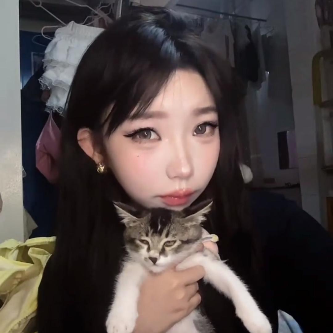 摆锤＋＋🎀