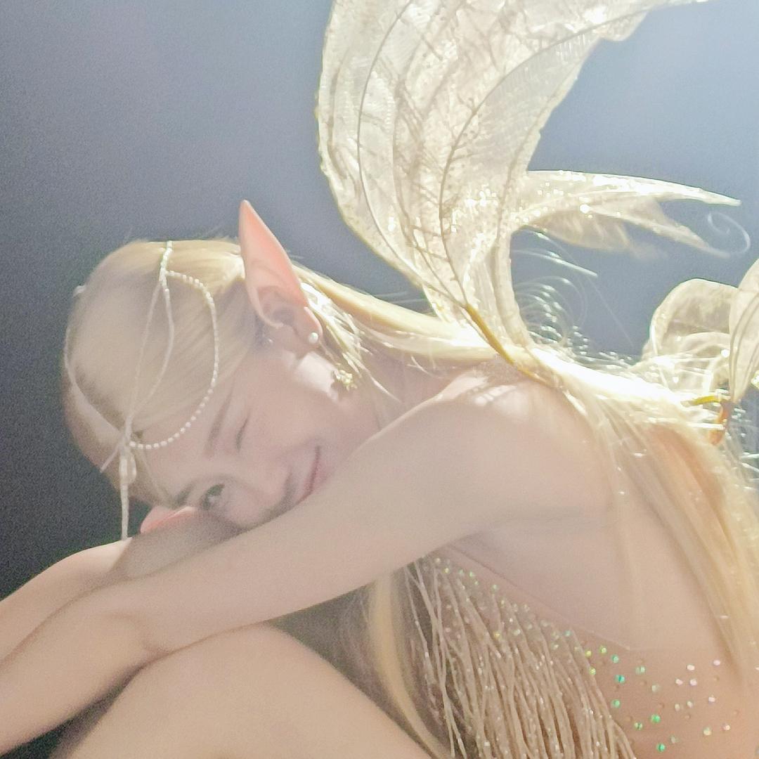 小 🐑