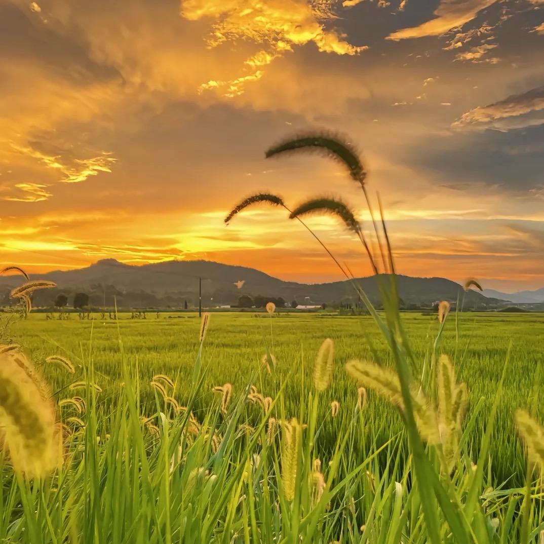 王梓茉妈咪👩‍🦰