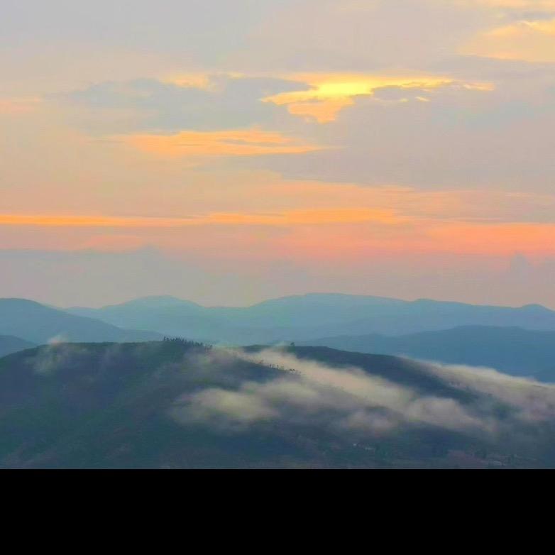 一枝梨花压海棠🤨
