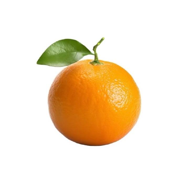 小橙子🍊