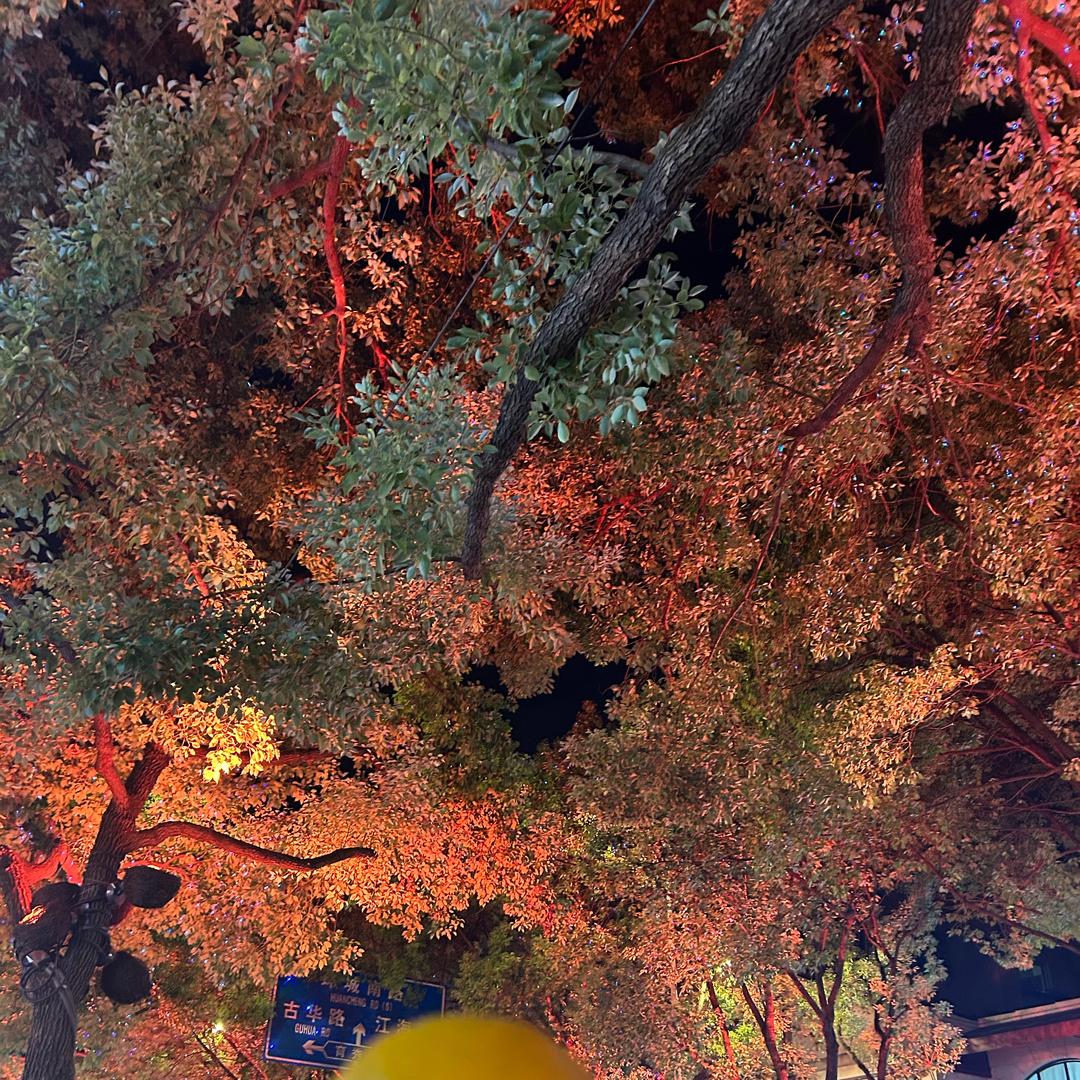 橘子皮