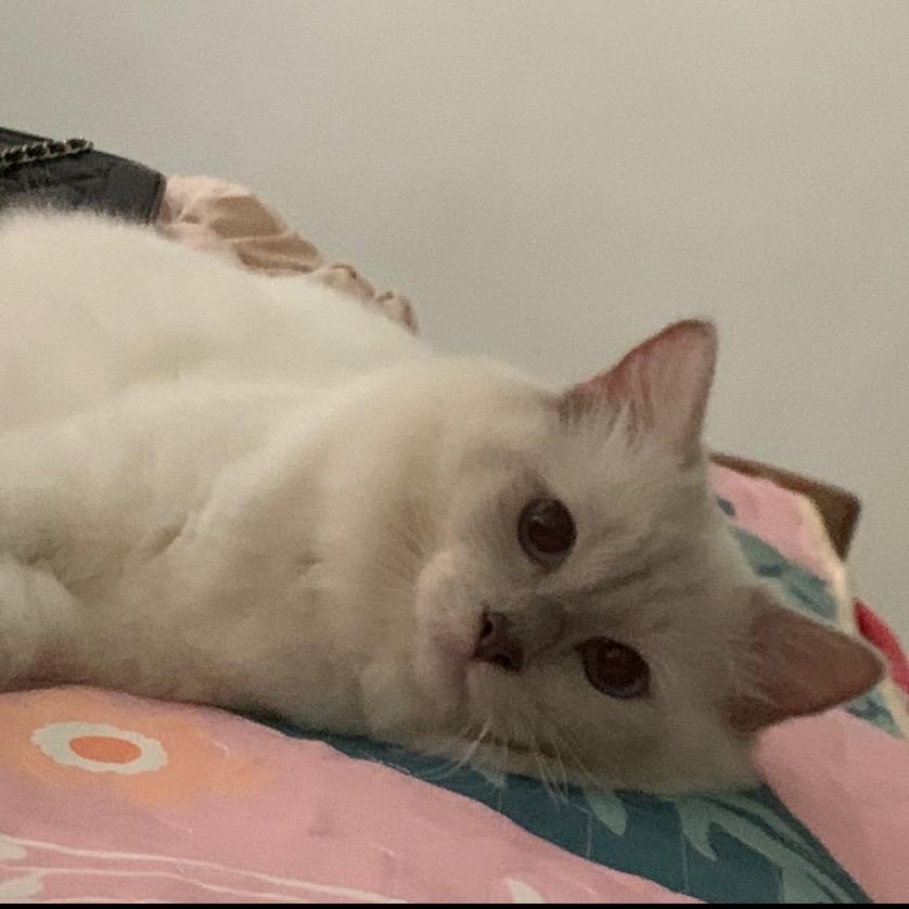 陌忧
