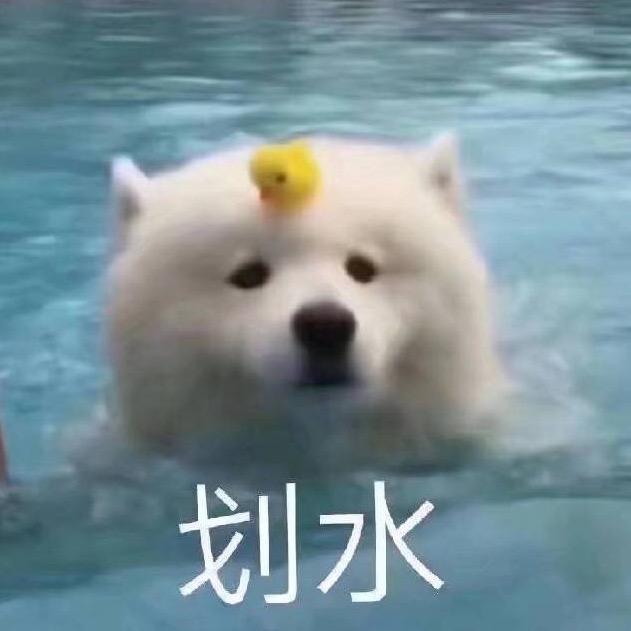 呕力呕