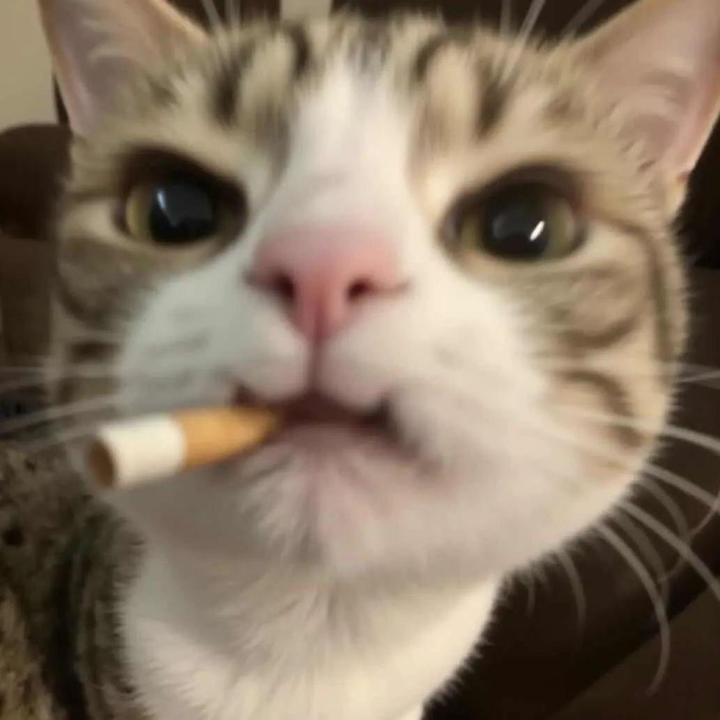 徒手抓蟑螂🤏🏻