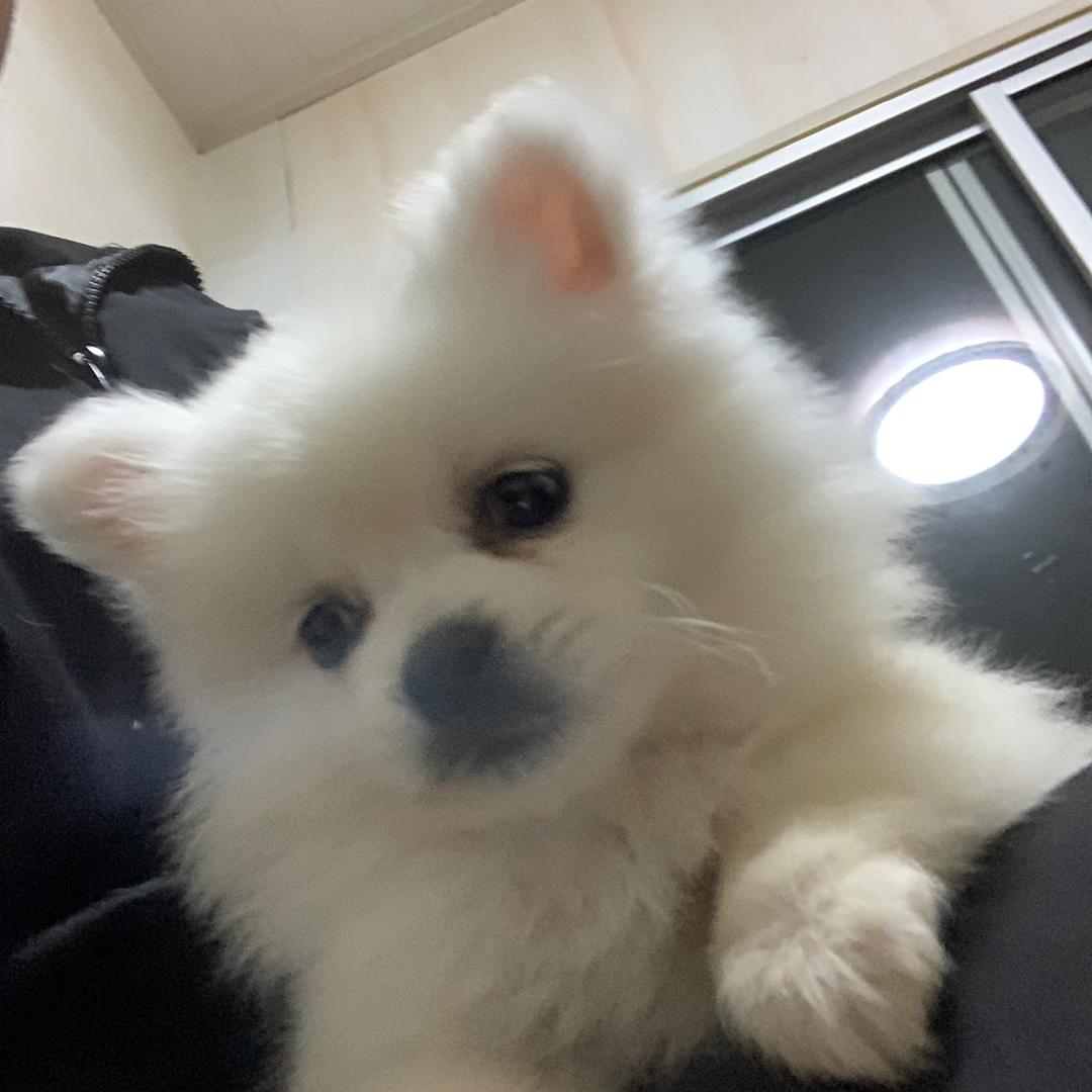 烦恼全吴🌞