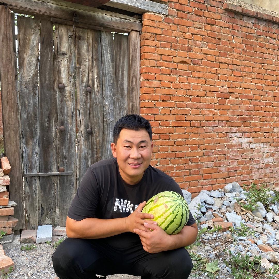 叶县吃喝玩乐（大龙）