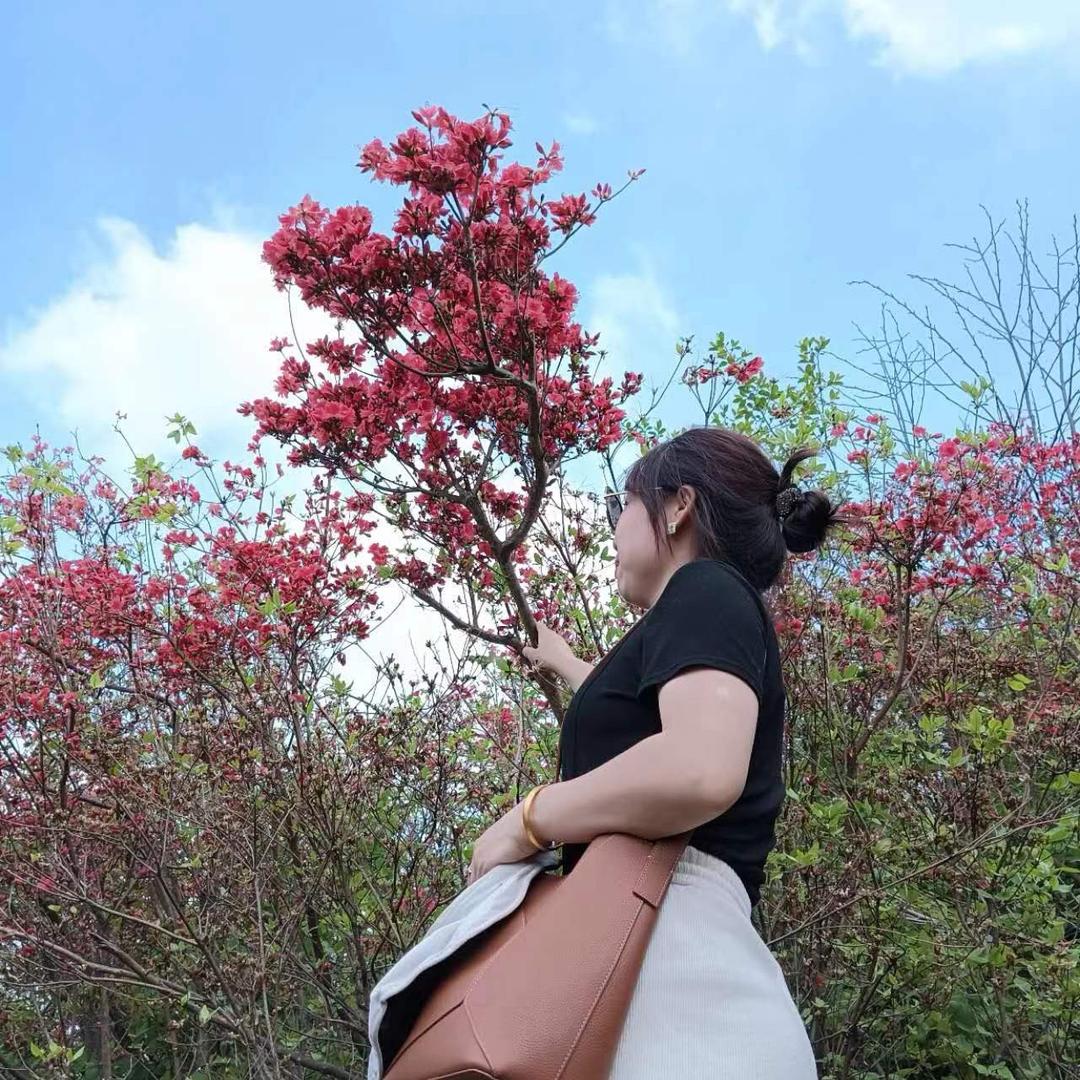 燕子😘😘