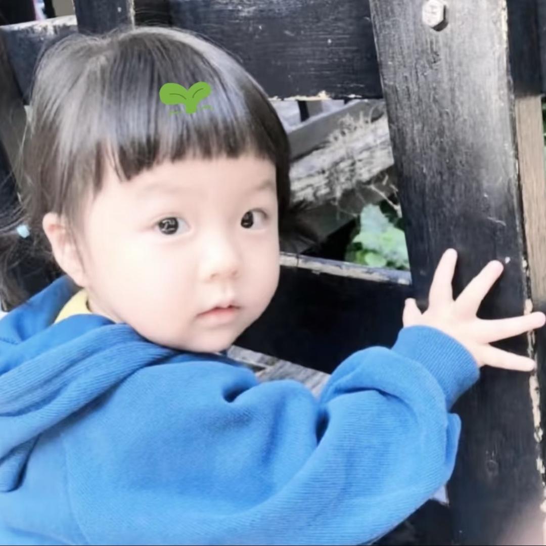 失望的母猪