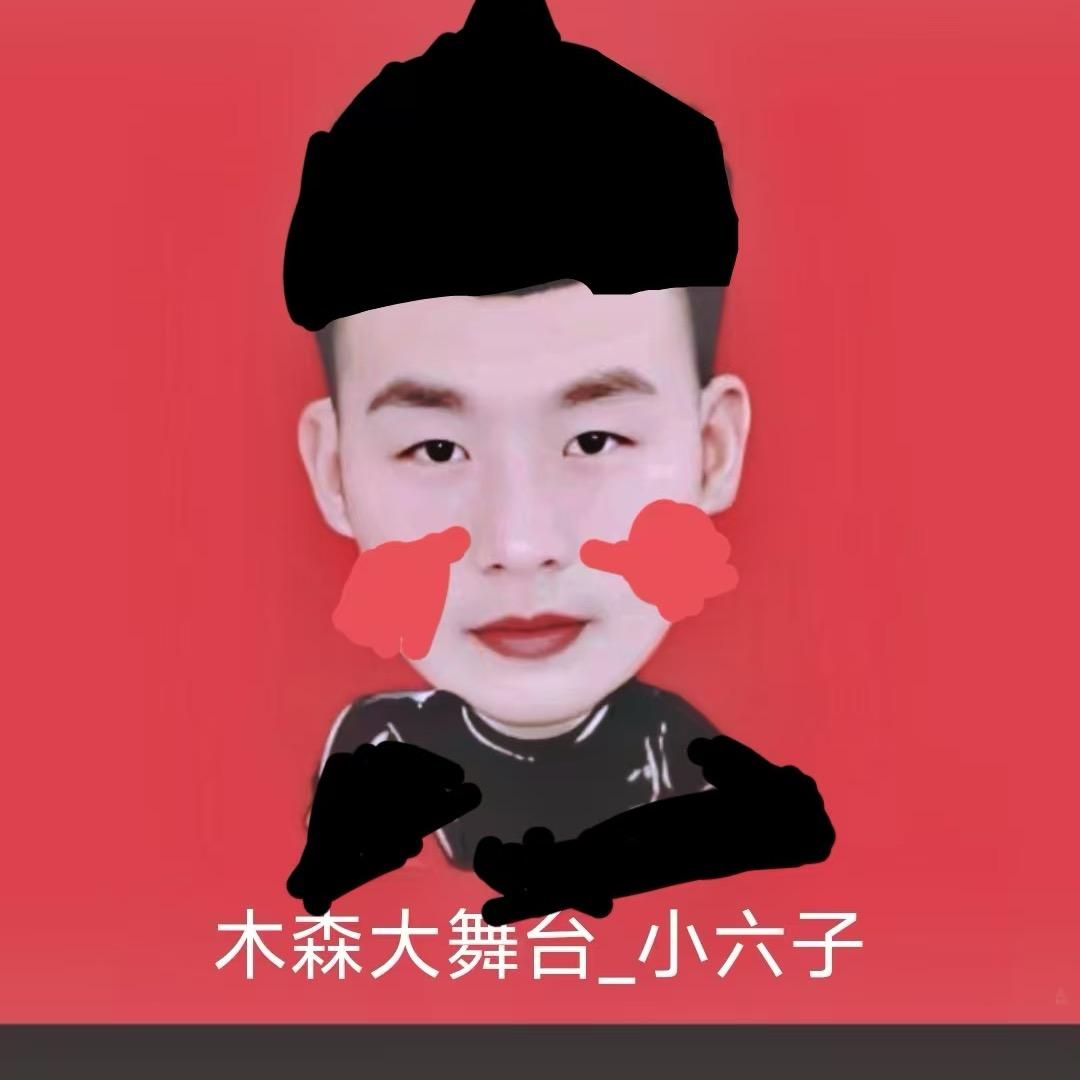 木森大舞台宣传片一小刘子