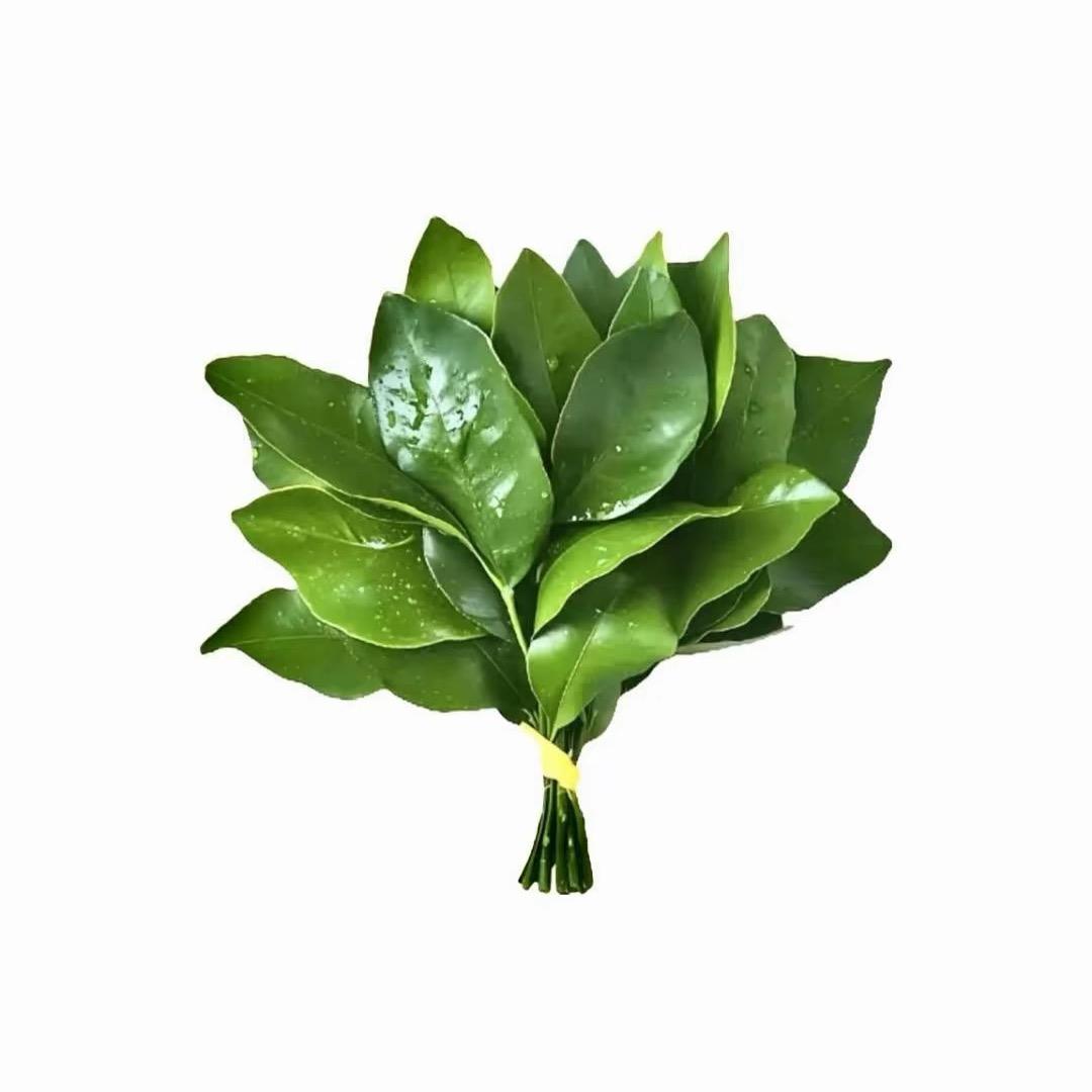 1。。