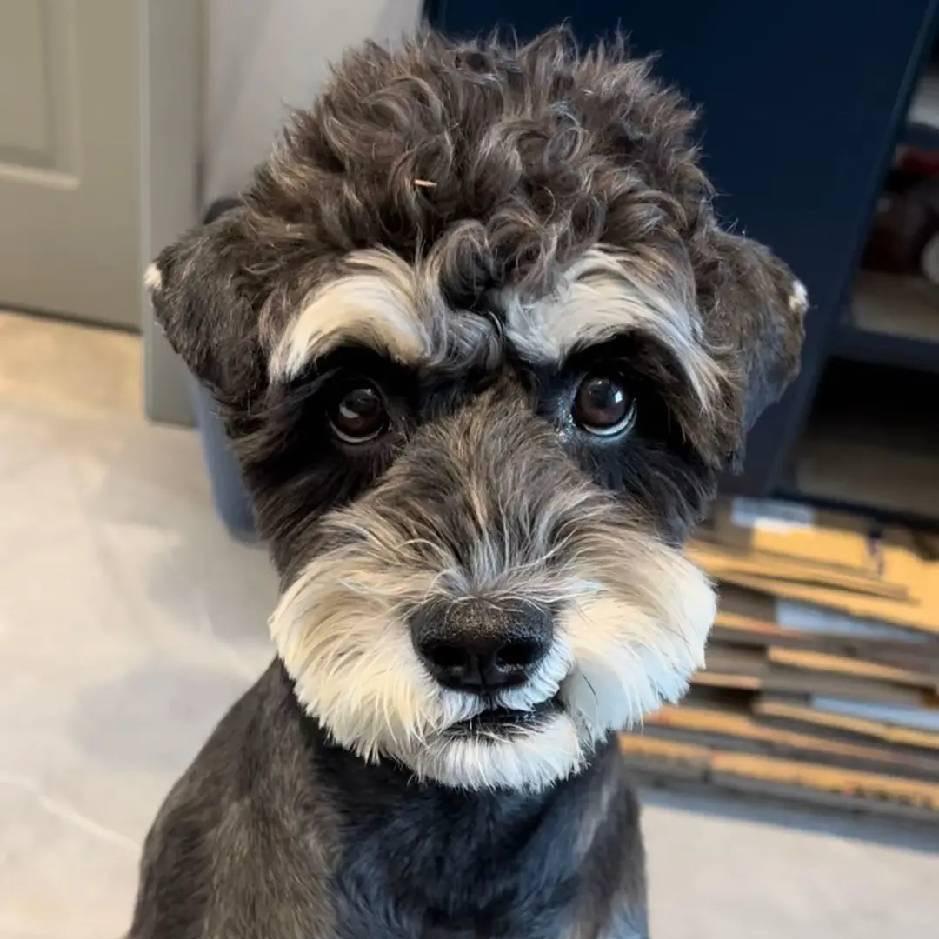 八字不合製造者