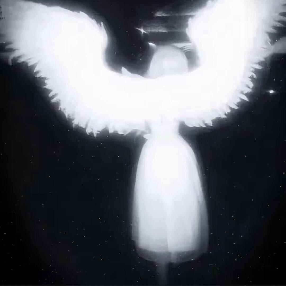 Yy大王